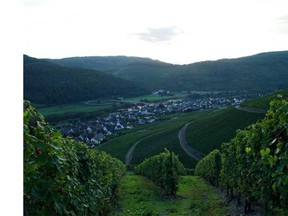 The Mosel region features some of the steepest and most beautiful vineyards in the world.