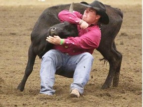 Cochrane’s Straws Milan brings down his steer during the during the Grassroots Pro Rodeo Finals Friday night at Stampede Park. His time was just six-tenth of a second out of the money in steer wrestling.