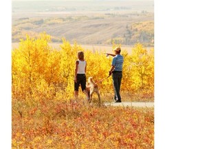 Courtesy, Linda Vick Glenbow Ranch Provincial Park, near Cochrane, features many different types of animals and a great variety of vegetation.