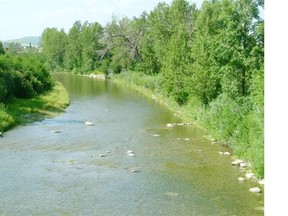 Courtesy/Town of Cochrane The Town of Cochrane has tried to keep various creeks and waterways accessible for area residents.