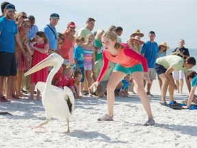 Cozi Zuehlsdorff is back as Hazel Haskett in the family-friendly Dolphin Tale 2. Warner Bros.