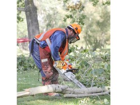 Crews work to remove fallen trees and debris from Confederation Park after last week’s snow storm in Calgary on Sunday.
