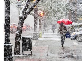 The first day of snow brought with it cool temperatures, big fluffy flakes, and fashionable umbrellas in Calgary, on September 8, 2014.