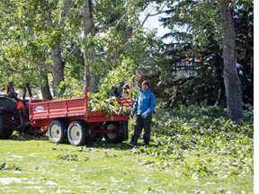 Ground crews at the Earl Grey Golf Club work to remove fallen trees and branches following this week’s summer snowstorm.