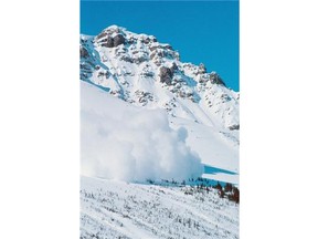 The newly branded Avalanche Canada was formed as a public safety organization in 2003, after a deadly avalanche season in which 29 people were killed.