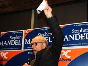 Stephen Mandel speaks to the crowd after being elected MLA for Edmonton-Whitemud on Oct. 27, 2014.
