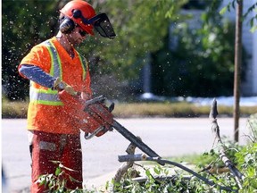A City of Calgary Parks crew member used a chainsaw to help remove a downed tree in Parkdale on Thursday. Crews were busy starting the clean-up process following the heavy snowfall over the past few days which caused the trees to break.
