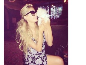 Paris Hilton with her new dog, purchased from Calgary dog breeder Betty’s Teacup Yorkies Photo courtesy Joanne Pauze