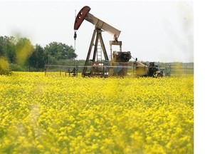 A pumpjack stands in a field of canola on the Samson Cree reserve at Hobbema. Alberta Premier Jim Prentice said Wednesday that falling oil prices shouldn’t be cause for concern for the Alberta economy.