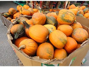 Based on historical records, the temperature on Oct. 31 in Calgary typically varies from a low of -5 degrees to a high of 7 degrees.