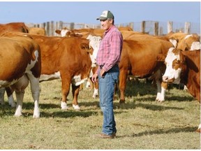 Rancher David Bruketa says he is worried for the safety of his family and his livestock on his Millarville area ranch after seeing an increase of grizzly bear activity over the past few years. He was photographed on his family’s ranch on October 22, 2014.