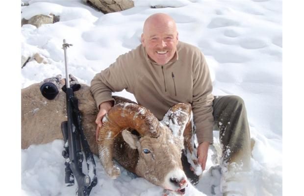 El Salto man shoots bear suspected of sheep killings
