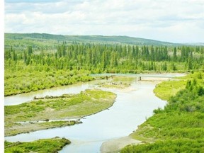 Some residents are concerned about how the southwest ring road will affect wildlife in the Weaselhead area.