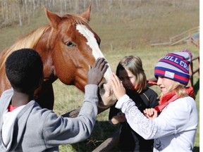 Students from St. Peter Elementary School enjoy the horses at OH Ranch near Longview, on October 8, 2014.