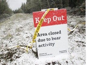 A trail in the Picklejar Creek area of Kananaskis Country is closed after a hunter was killed by a grizzly bear.