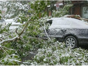 A vehicle’s driver side window has been smashed in by snow-covered tree branches, which wreak havoc as they fall into streets causing damage to homes and vehicles in Calgary on Wednesday.