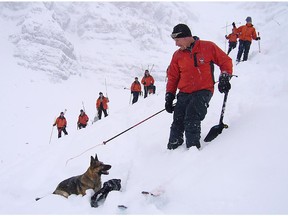 Dogmaster Mike Henderson with his rescue dog and other parks' rescuers on a training exercise.