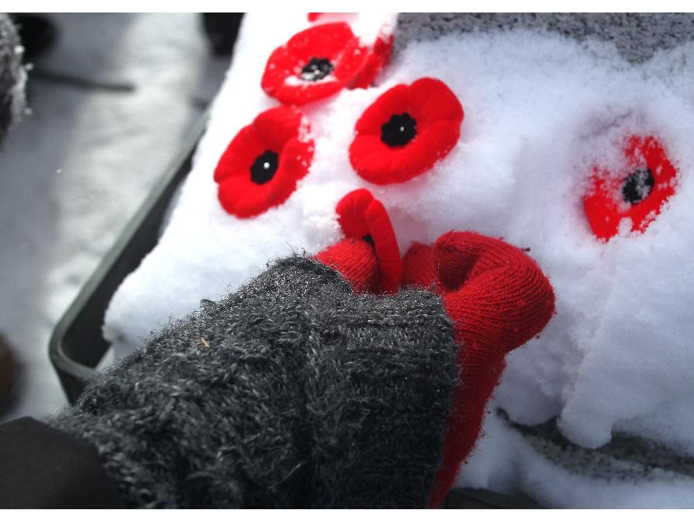 Gallery Remembrance Day in Calgary Calgary Herald