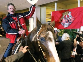 In a Calgary Grey Cup tradition Ted Hall rides quarter horse Alley in the Holiday Inn in downtown Vancouver on Friday November 28, 2014.