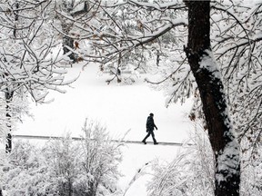 A Calgarian walks through Confederation Park in Calgary on May 3, 2014.