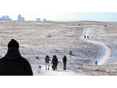 With slightly warmer weather, Calgarians enjoy their walks at Nosehill Park in Calgary on November 16, 2014.