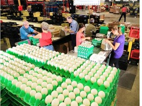 The Calgary Food Bank helped 130,000 families last year. Since then, demand has increased 10 per cent in the city.