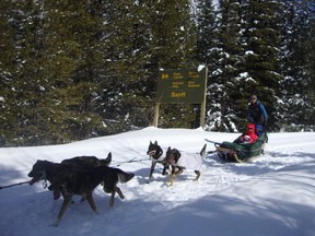 A family enjoys the dog sled ride from Lake Louise to the Great Divide and back again.