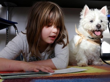 Keira Pasila, 9, a grade 5 student at East Lake School in Chestermere, reads to Levi, a 14-year-old west highland white terrier during the Chestermere Therapy Dogs Society Listening Tails program.