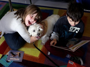 Keira Pasila, 9, and Joey Varns, 10, both grade 5 students at East Lake School in Chestermere, read to Levi, a 14-year-old west highland white terrier during the Chestermere Therapy Dogs Society, Listening Tails program.