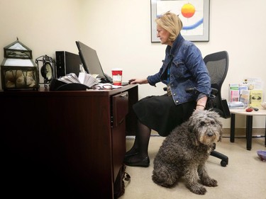 Tallulah, an 11- year-old Australian labradoodle therapy dog waits for the next patient with her owner Martina Quinn, a social worker with the department of psychosocial oncology at AHS.