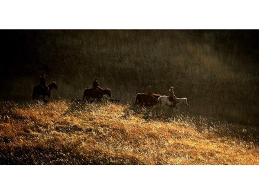 Ranchers ride out into the high country on the Bar S Ranch near Nanton, Alberta to round up their cattle and trail them down to lower elevations for the winter months.