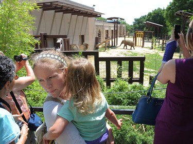 Shelley Rakip holds her daughter, Caroline Rakip, 2, as they and others view three new female Asian elephants, Kamala, Maharani, and Swarna, as they were on display to the public for the first time after being in quarantine at the Smithsonian National Zoological Park on  June 23, 2014 in Washington, DC. (Photo by Matt McClain/ The Washington Post) MANDATORY CREDIT. NO SALES.  NO TRADES.  NO WIRES.