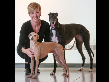 Deborah Herringer Kiss, top left, pets Enzo, front, an 8-year-old Italian Greyhound and Stella, a 3-year-old ex-racing Greyhound at Herringer Kiss Gallery.