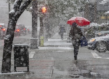 he first day of snow brought with it cool temperatures, big fluffy flakes, and fashionable umbrellas in Calgary, on September 8, 2014.
