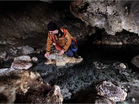 Conservation biologist Dwayne Lepitzki looks for Banff springs snails in the Upper Middle hot springs cave in Banff National Park, Alberta on March 15, 2011.  An unidentified man has been charged after bathing in the pool.