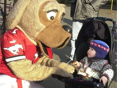 A small parade took place in downtown Montreal in 2008. Calgary Stampeder mascot Ralph the Dog says hello to 21-month-old Jered Fitzpatrick of Houston Texas.