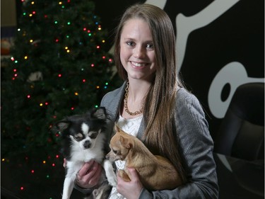 Andrea Racette and her chihuahuas Parker and Jackson at Rogers Insurance Ltd.