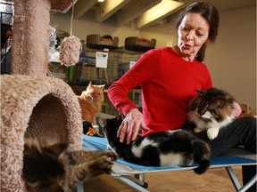 Dawn Hanson with the Feline Rescue Foundation of Alberta sits with some of the foundation's almost 100 cats that are in desperate need of a new home after the organization's current location is set for demolition.