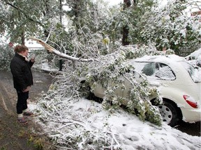 Crescent Heights resident Kelly Meyers takes a photo of her car one of many hit by downed trees along 8th Avenue N.E. in Calgary after heavy snow hit the city in September 2014.