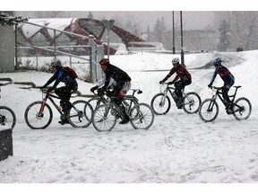 Cyclists in cities, like these in Calgary, are becoming more common in winter. Tom Babin, Calgary Herald