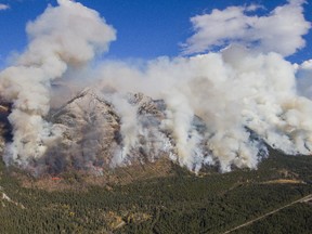The Sawback area in Banff National Park has nearly been returned to its historic state due to prescribed burns. Three of the burns are planned this year in Banff National Park.