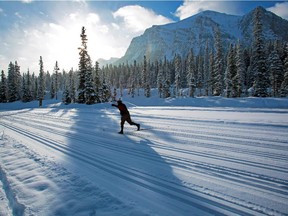A skier on cross-country ski trails near the Chateau Lake Louise in January 2013.