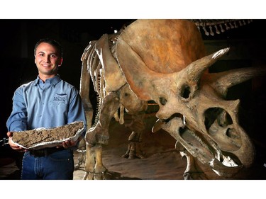 Francois Therrien, curator of Dinosaur Palaeoecology at the Royal Tyrrell Museum holds a bone of the newly discovered Arrhinoceratops next to the larger Triceratops at the museum.