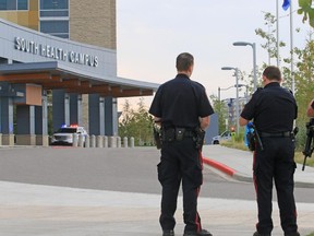 Police cordon off an area near the South Health Campus where a cougar was hanging out last summer. Reader says there's no need to shoot wildlife in the city just because they're agitated.