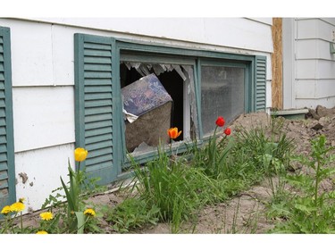 HIGH RIVER, ; JUNE 3,  2014  --   Anniversary- Tulips bloom in a mud packed flower bed while a mattress sticks out of a broken window where it came to rest after the flood waters swept through this home in Wallaceville area of High River. It was ground zero for the wrath of the Highwood RIver flood. One year later the homes are boarded up waiting to be torn down.