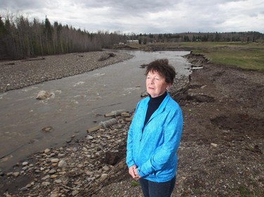 Pat Fisher stands on the shore of Three Point Creek near Millarville, Alberta nearly a year after the the floods of 2013 swept her rental house into the swollen waters of the normally placid creek.