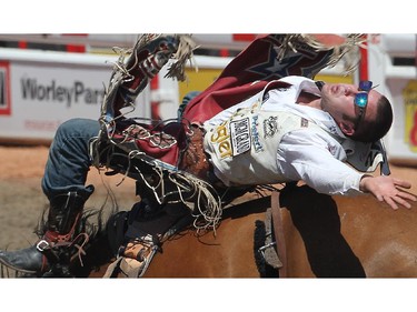 Kaycee Feild of Spanish Fork, Utah takes a wild ride on Caddy Wagon in the Barback competition Tuesday July 8, 2014 at the Calgary Stampede.