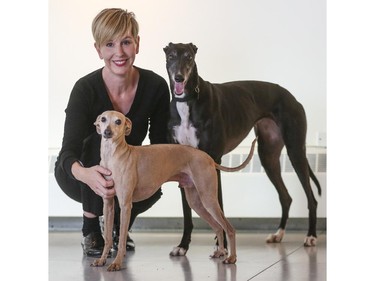 Deborah Herringer Kiss, top left, pets Enzo, front, an 8-year-old Italian Greyhound and Stella, a 3-year-old ex-racing Greyhound at Herringer Kiss Gallery.