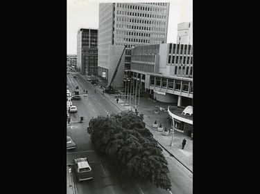 A different kind of traffic problem...an 80 ft. Christmas tree heads down 9th Ave. to Palliser Sq. in 1971. It took about 5,000 light bulbs to decorate it.
