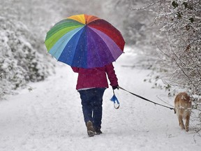 A woman walks walks with her dog under a colourful umbrella through the snow.